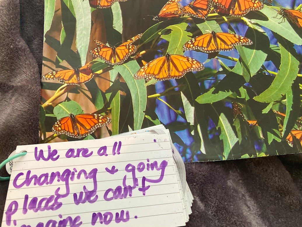 Photo of 7 orange and black monarch butterflies on branch with hand-written message, "We are all changing and going places we can't imagine now."