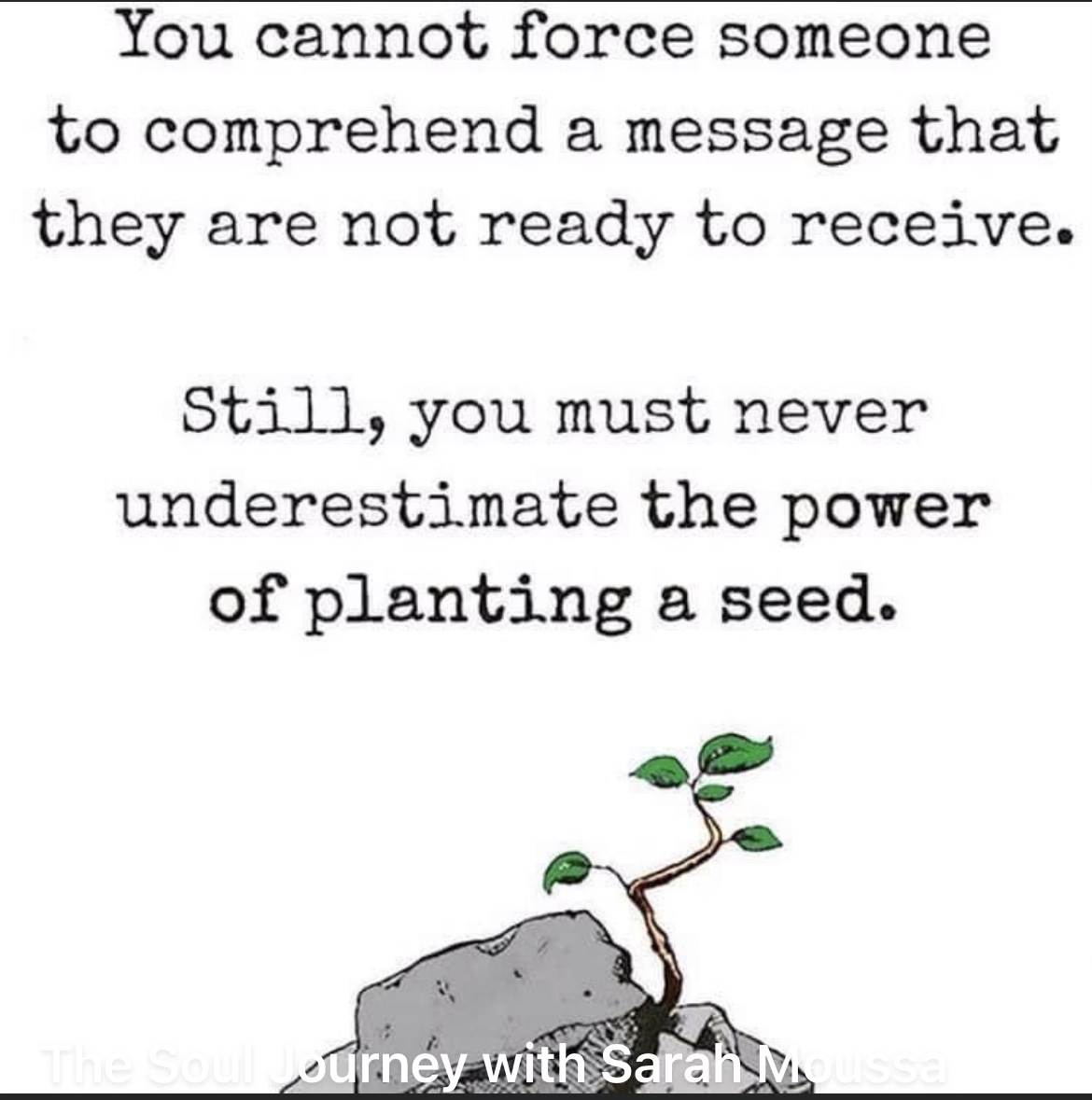 "You cannot force someone to comprehend a message that they are not ready to receive. Still, you must never underestimate the power of planting a seed." -Sarah Moussa