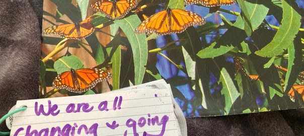 Photo of 7 orange and black monarch butterflies on branch with hand-written message, "We are all changing and going places we can't imagine now."