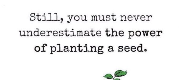 "You cannot force someone to comprehend a message that they are not ready to receive. Still, you must never underestimate the power of planting a seed." -Sarah Moussa